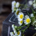 黄色免费日本 24e2c7c