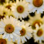 亚洲AV欧美AV天堂 3znyxk64