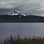 亚洲一区在线日韩在线深爱 fl5ix9nfi7