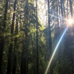 在线 亚洲 国产 欧美 jvtj2njv6