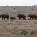 亚洲色综合欧美色综合 kbdcywnh