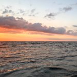 日韩一本在线中文字幕 wh828mh9