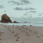 亚洲欧美中文日韩V日本 wwzhvy0