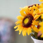 亚洲AV综合AV一区 z8fypfk6