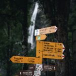 stmes org:探索STMES组织的使命与发展历程 22ctsrvsmp