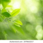 叽哩叽哩jiligame:探索游戏世界的无限可能与乐趣 h3zsz1r8o