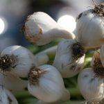 《母亲的朋友》:畅享韩剧在线观看的最佳选择与精彩剧情解析 v1s8xc