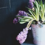 探索海棠线上文学城网站的精彩世界与创作机会 pvhh406